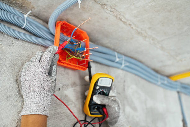 Best Home Electrical Repair  in Lopezville, TX