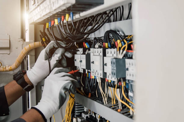 Best Electric Panel Repair  in Lopezville, TX